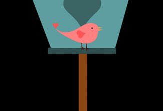 Bird Box Creations