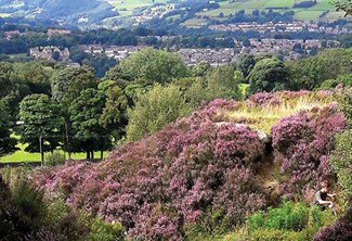 Castleshaw Festival