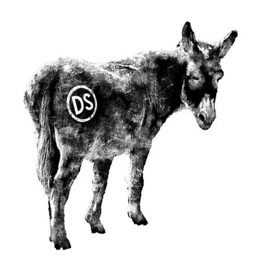 Donkeystone Brewing Co.jpg